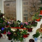 رفوف على حافة النافذة