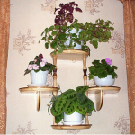 الجرف للزهور تفعل ذلك بنفسك صور الحائط