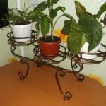 عملية صنع أيديهم تقف على المزهريات