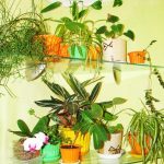 ركن رفوف زهرة غير مرئية