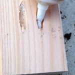 المواد الرف