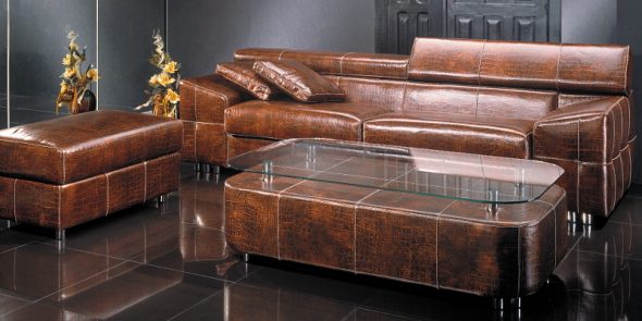 أثاث جلد المرجان