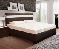 نموذج سرير العظام 2