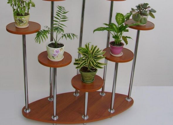 رفوف زهرة الكلمة