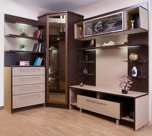 جدار الزاوية لغرفة المعيشة