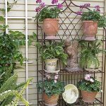 رفوف زهرة في الهواء الطلق الصورة