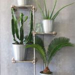 رفوف الخيار للزهور