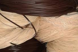 صورة الروطان الاصطناعي