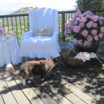 من السهل كرسي باريس لإعطاء