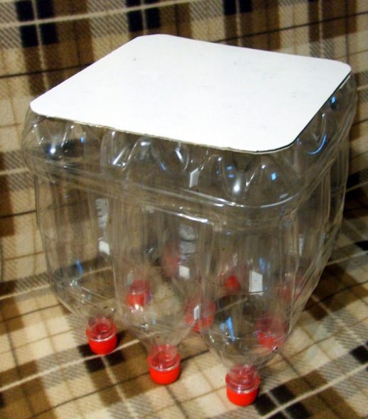 Phân từ chai nhựa