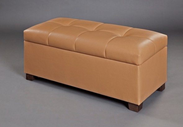 البراز المدخل