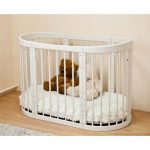 روضة البيضاوي