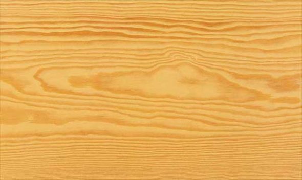 مادة الصنوبر