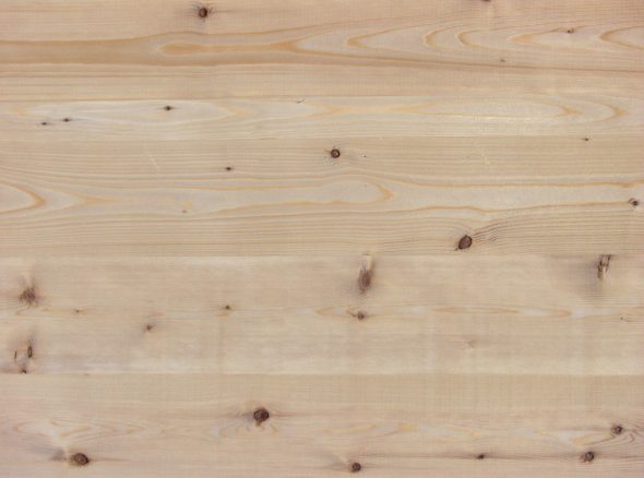 نسيج الخشب الرقائقي