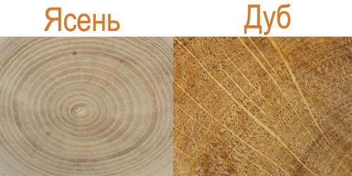 رماد صلب والبلوط