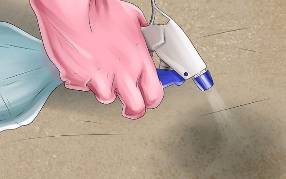 نضع حامض الستريك والخليك