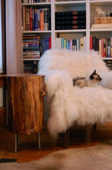 الجدول الجذع الأصلي