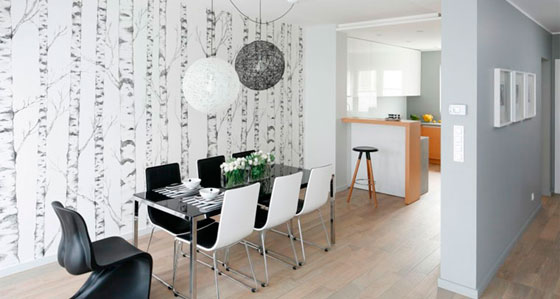 البتولا على خلفية - بلطف ومتجدد الهواء