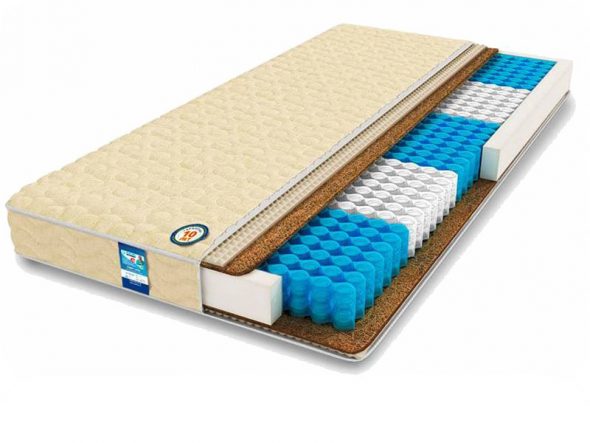 فراش العظام تطور خبير