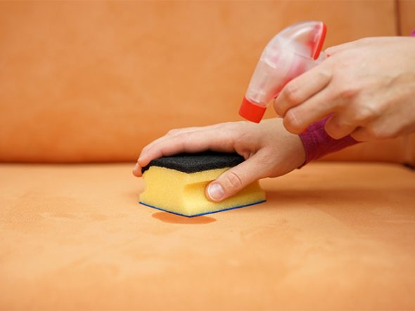 استخدام منتجات التنظيف ثبت.