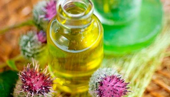 زيت الأرقطيون