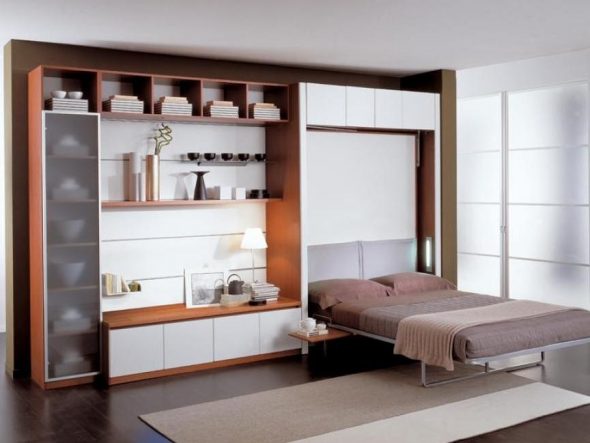 سرير خزانة في غرفة المعيشة