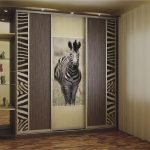 shkaf-kupe --- حمار وحشي