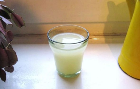 عصير مخلل الملفوف