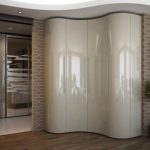 خزانة ملابس زاوية غير عادية في الممر