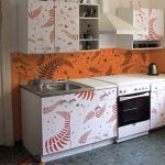 صور مثيرة للاهتمام على الفيلم للمطبخ