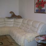 غطاء من الألبان مع مساند للذراعين لأريكة