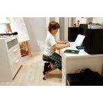 كرسي العظام دون الظهر