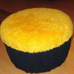 العثماني لأصغر عضو في عائلة الزجاجات البلاستيكية في القاعدة