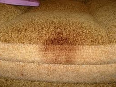 بلل قطعة قماش نظيفة في الماء البارد.