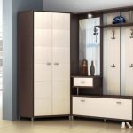 خزانة ملابس زاوية وعناصر مفتوحة للممر