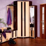 قاعة مدخل مشرق مع خزانة الزاوية