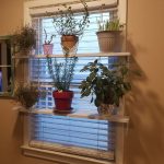 بوعاء الزهور على الرفوف من النافذة