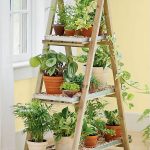 موقف الكلمة للزهور