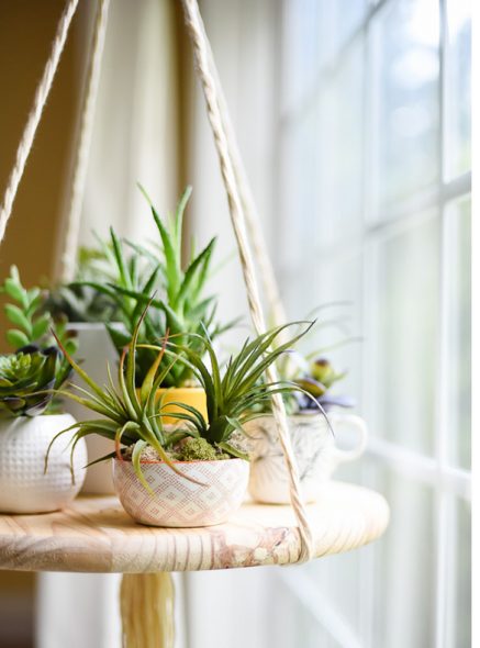 علقت جولة الجرف