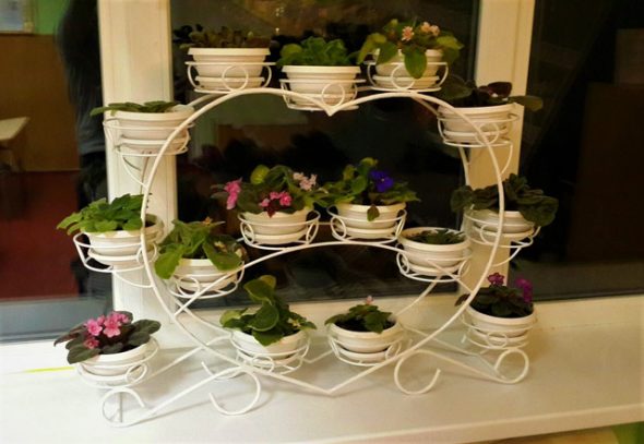 موقف القلب المطاوع