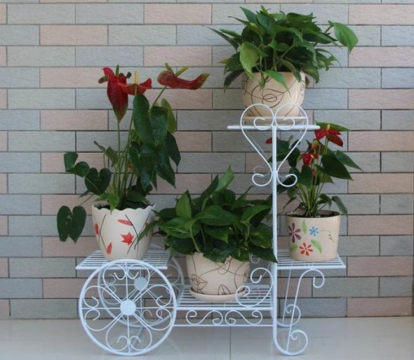 موقف مزورة في نمط بروفانس