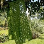 الرأس الجميل مع هامش للكرسي