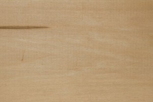 ليبا - أشياء عظيمة