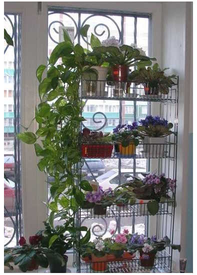 الجرف المعدني