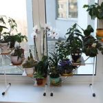 رف معدني للزهور على شكل تل