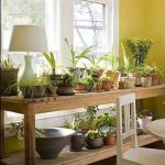 الكلمة رفوف للزهور في نافذة كبيرة