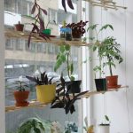 رف غير عادي للزهور على النافذة