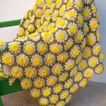 الغلاف الإقحوانات تفعل ذلك بنفسك