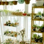 الرفوف والرفوف على حافة النافذة