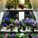 رفوف من اللوح على النافذة